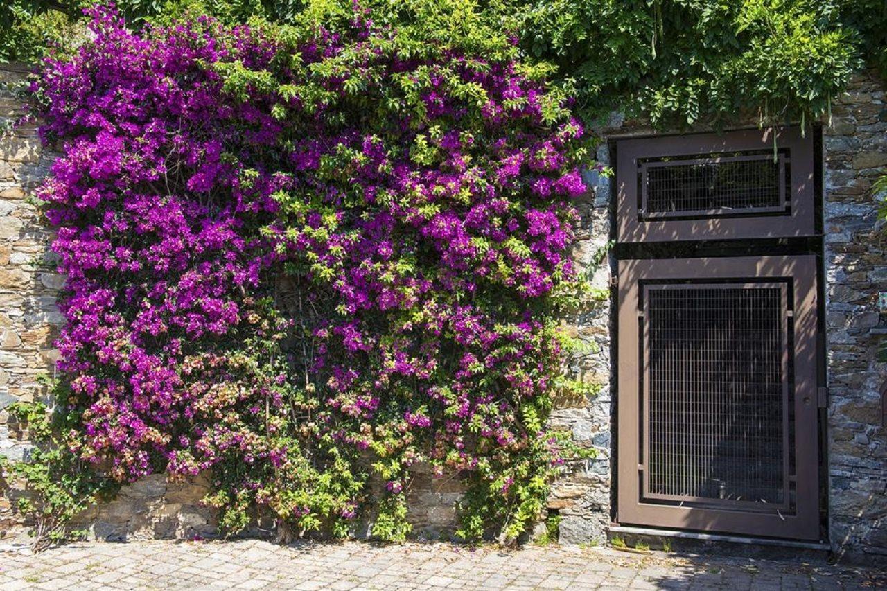 B&B Renalù Verbania Esterno foto
