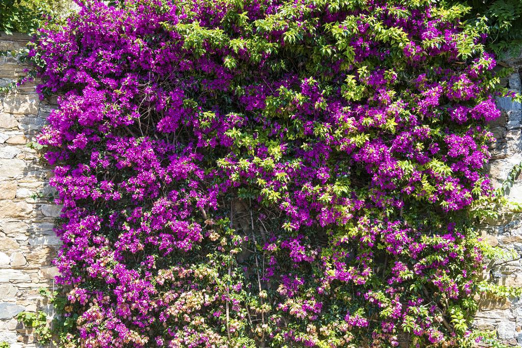 B&B Renalù Verbania Esterno foto