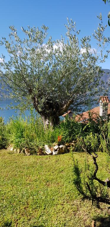 B&B Renalù Verbania Esterno foto